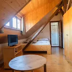 Mlyn Kamenice 3* Klucenice