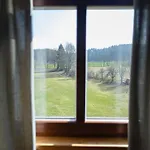 Mlyn Kamenice Penzion 3*