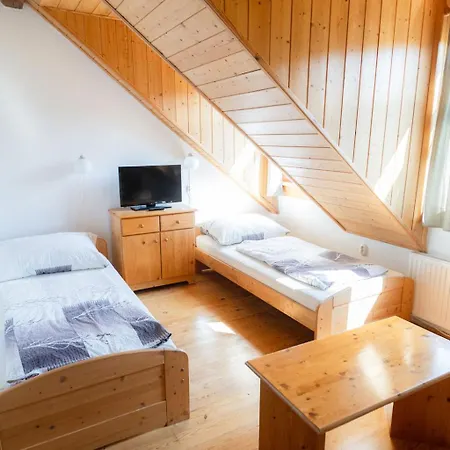 Guest house Mlyn Kamenice 3*