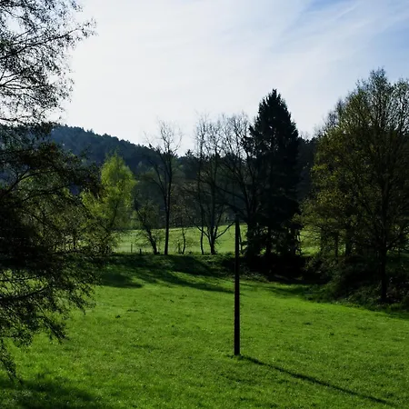 Mlyn Kamenice Penzion *